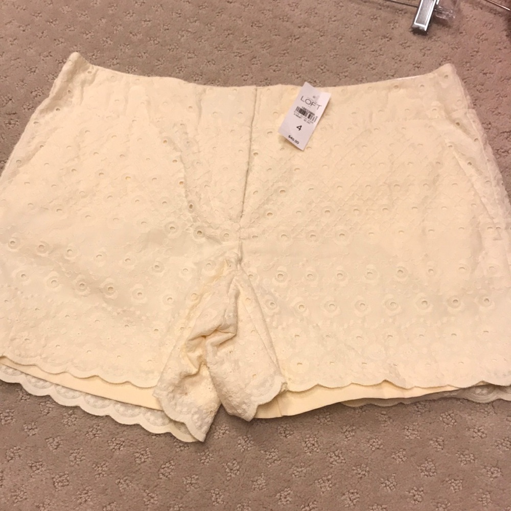 NWT Ann Taylor Cream Shorts